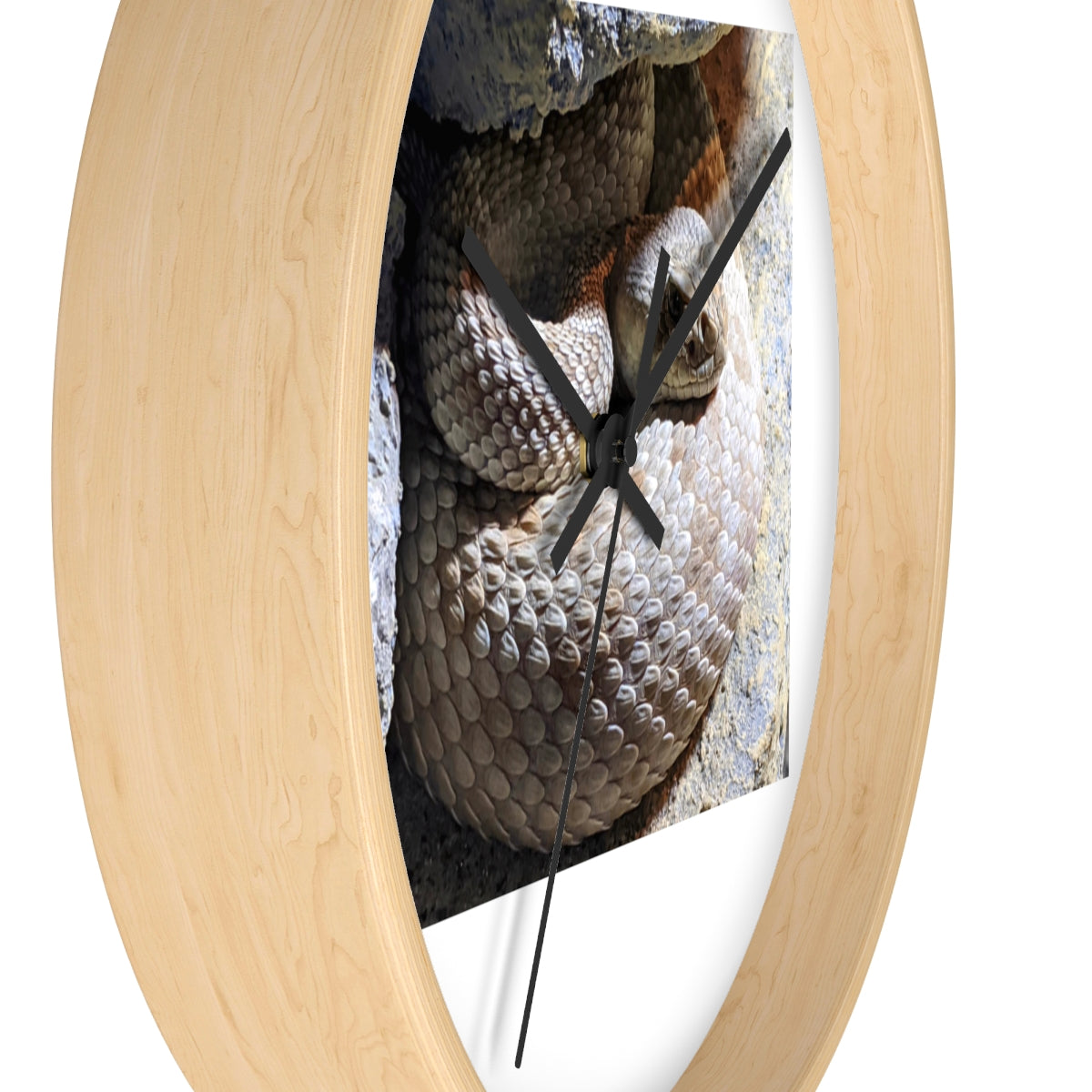 A stylish Snake Wall Clock featuring a unique snake design with a wooden frame and plexiglass face, perfect for indoor decor.