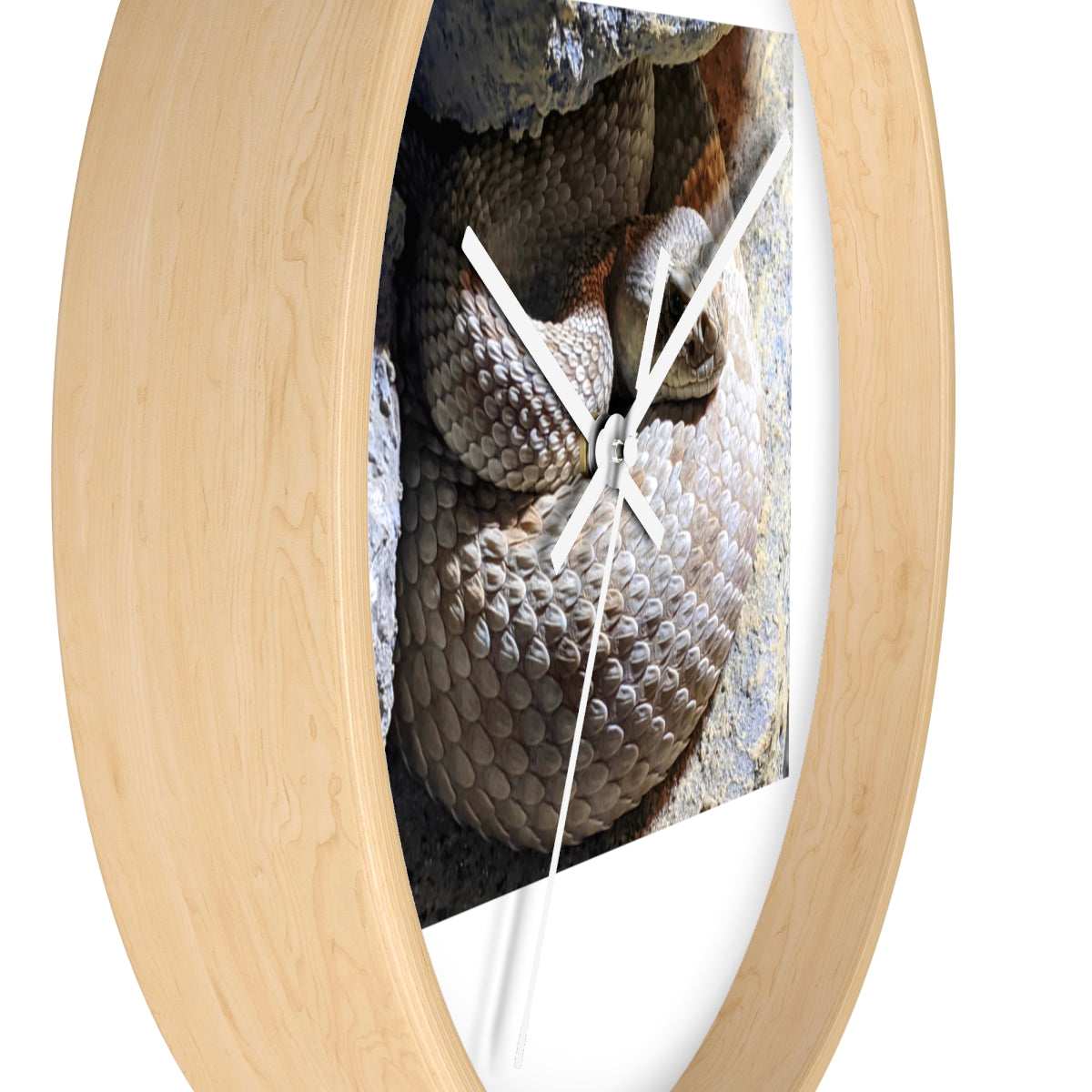 A stylish Snake Wall Clock featuring a unique snake design with a wooden frame and plexiglass face, perfect for indoor decor.