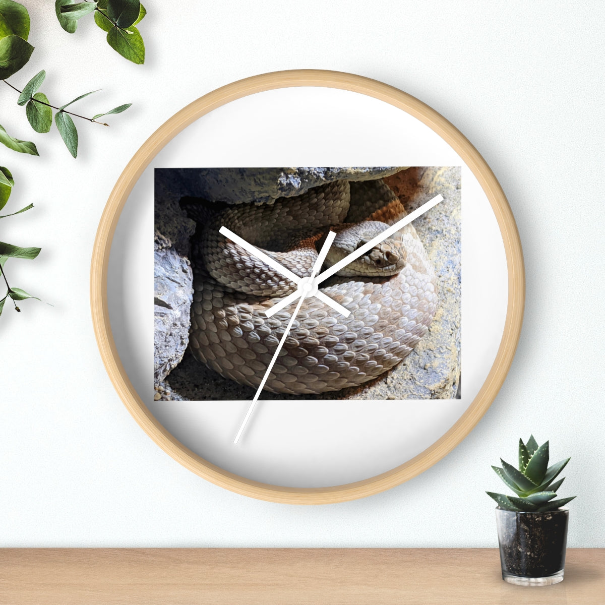 A stylish Snake Wall Clock featuring a unique snake design with a wooden frame and plexiglass face, perfect for indoor decor.