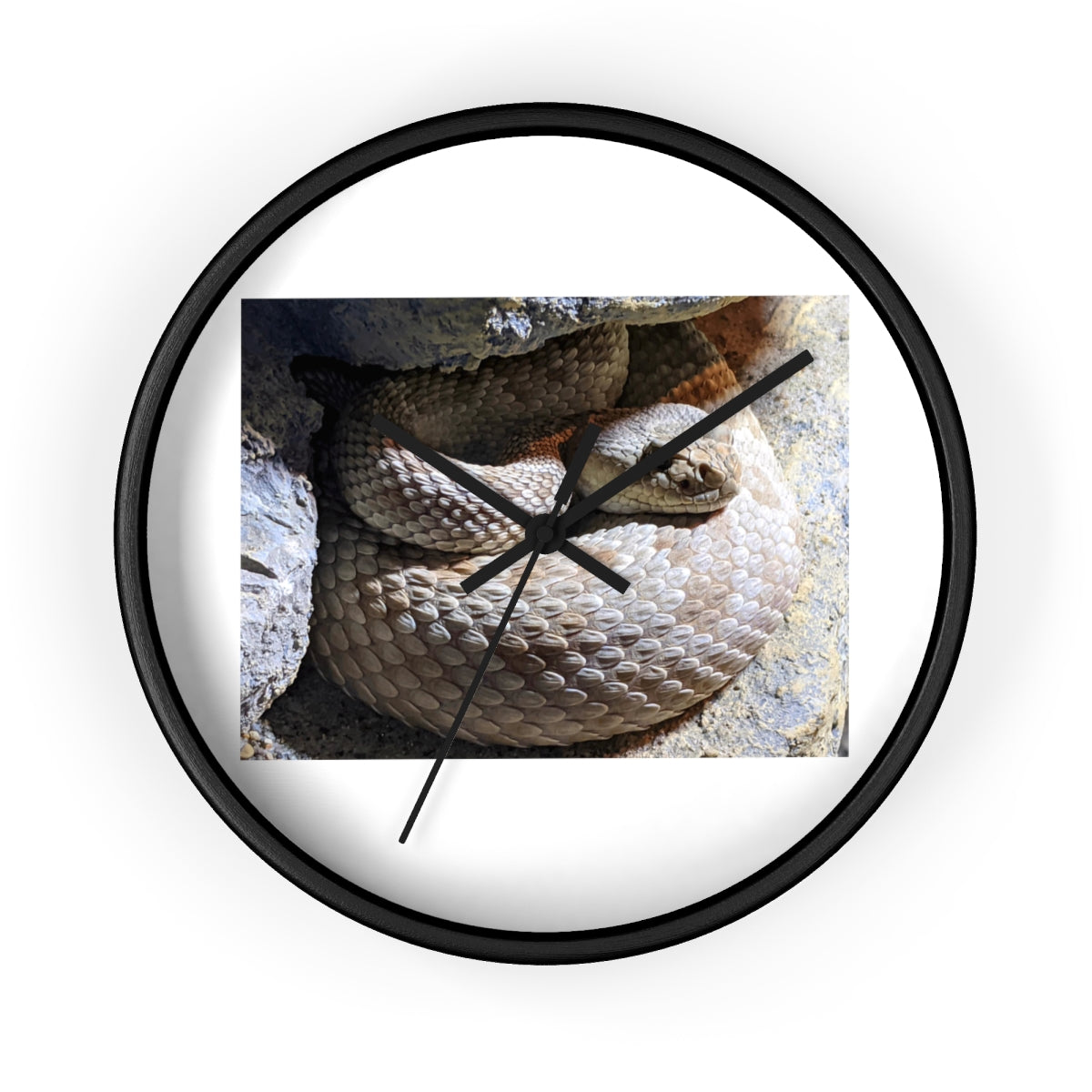 A stylish Snake Wall Clock featuring a unique snake design with a wooden frame and plexiglass face, perfect for indoor decor.