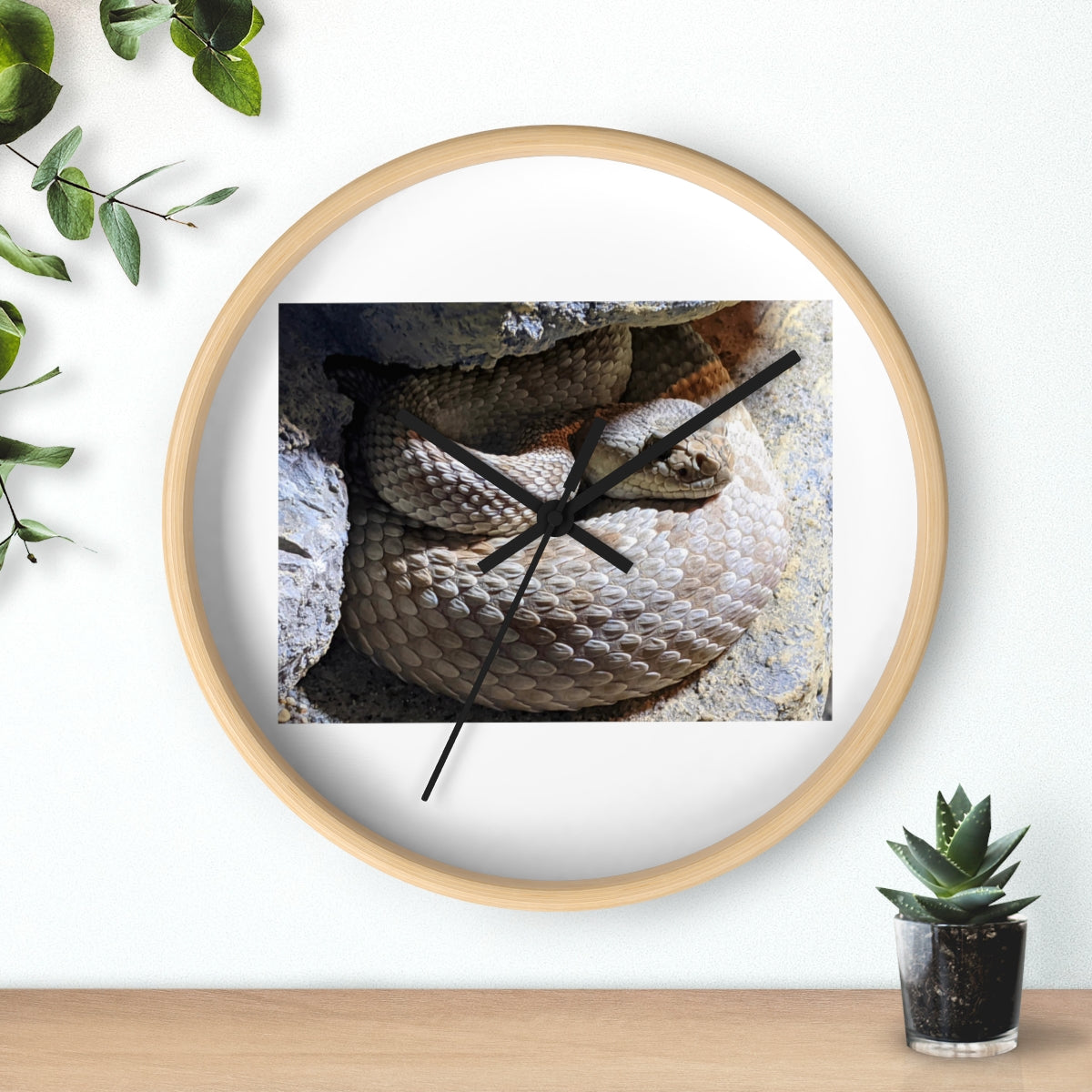 A stylish Snake Wall Clock featuring a unique snake design with a wooden frame and plexiglass face, perfect for indoor decor.