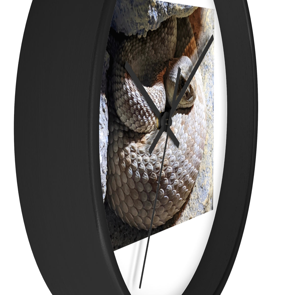 A stylish Snake Wall Clock featuring a unique snake design with a wooden frame and plexiglass face, perfect for indoor decor.