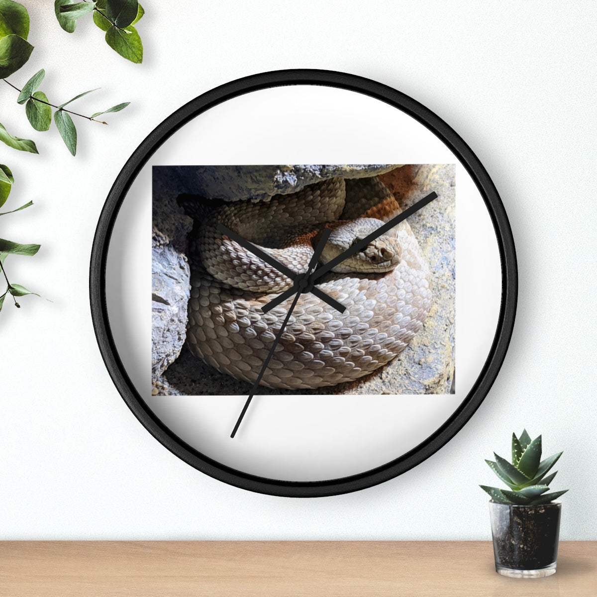 A stylish Snake Wall Clock featuring a unique snake design with a wooden frame and plexiglass face, perfect for indoor decor.