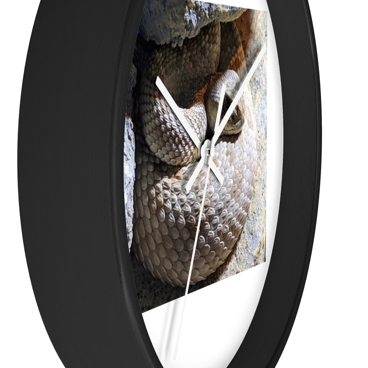 A stylish Snake Wall Clock featuring a unique snake design with a wooden frame and plexiglass face, perfect for indoor decor.