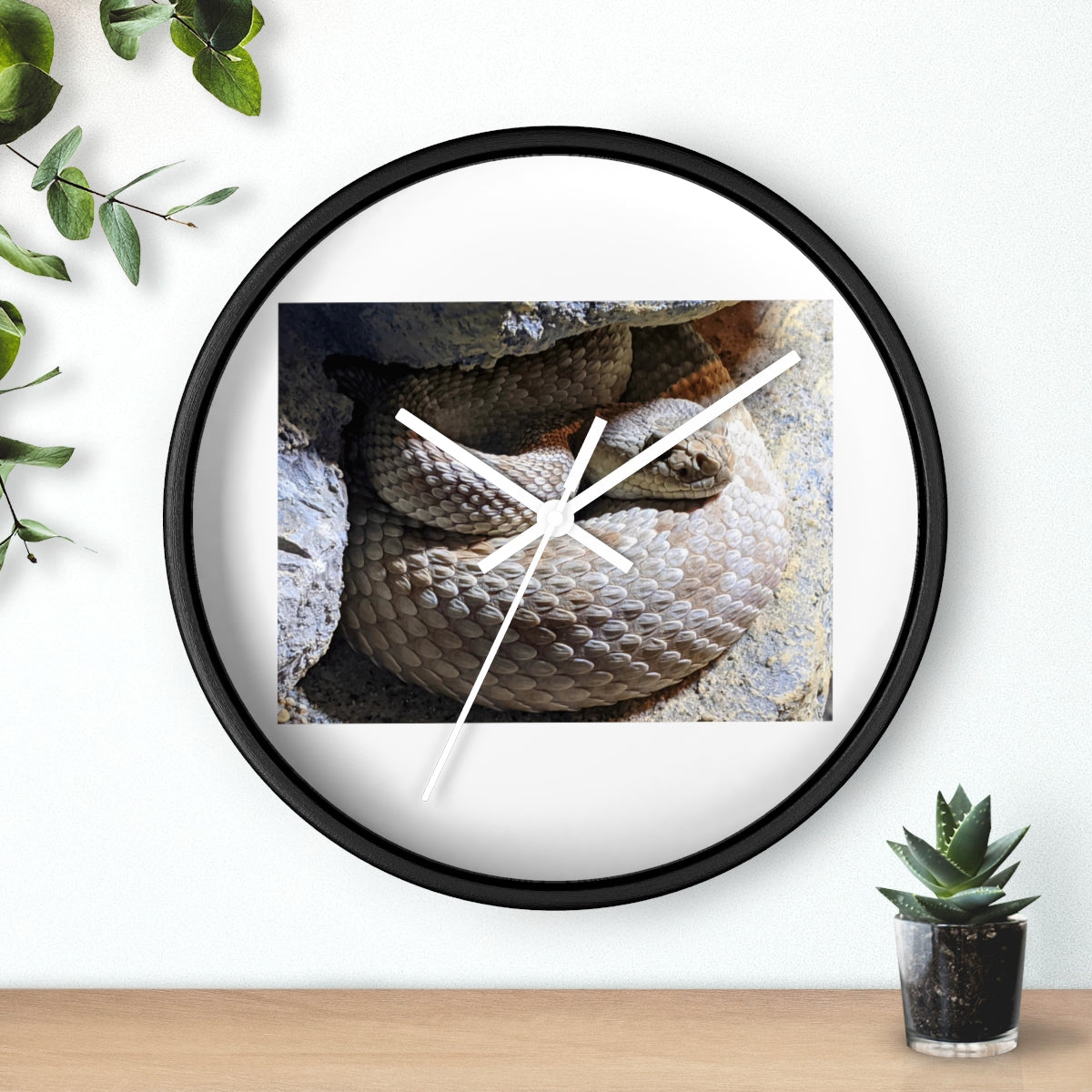 A stylish Snake Wall Clock featuring a unique snake design with a wooden frame and plexiglass face, perfect for indoor decor.