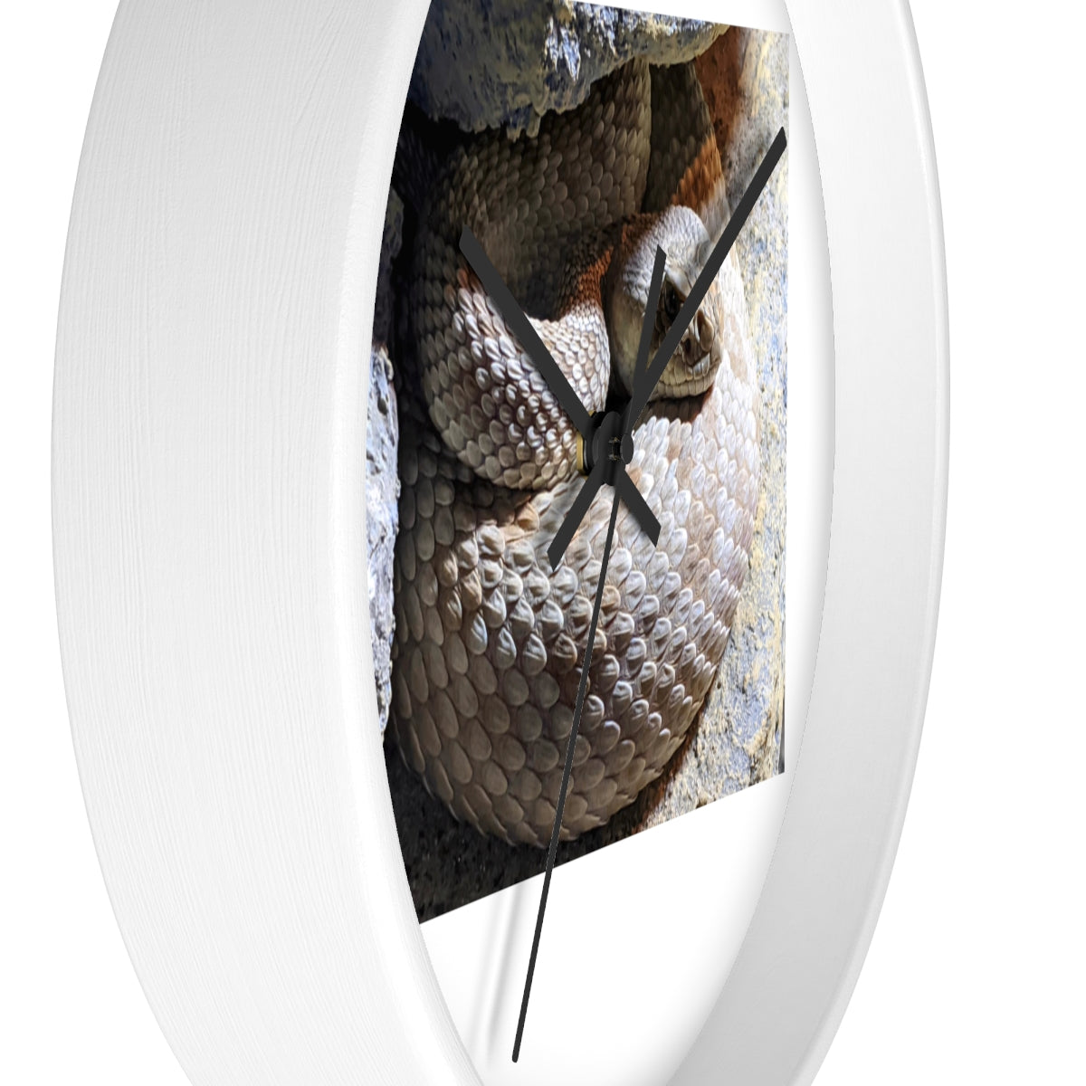 A stylish Snake Wall Clock featuring a unique snake design with a wooden frame and plexiglass face, perfect for indoor decor.