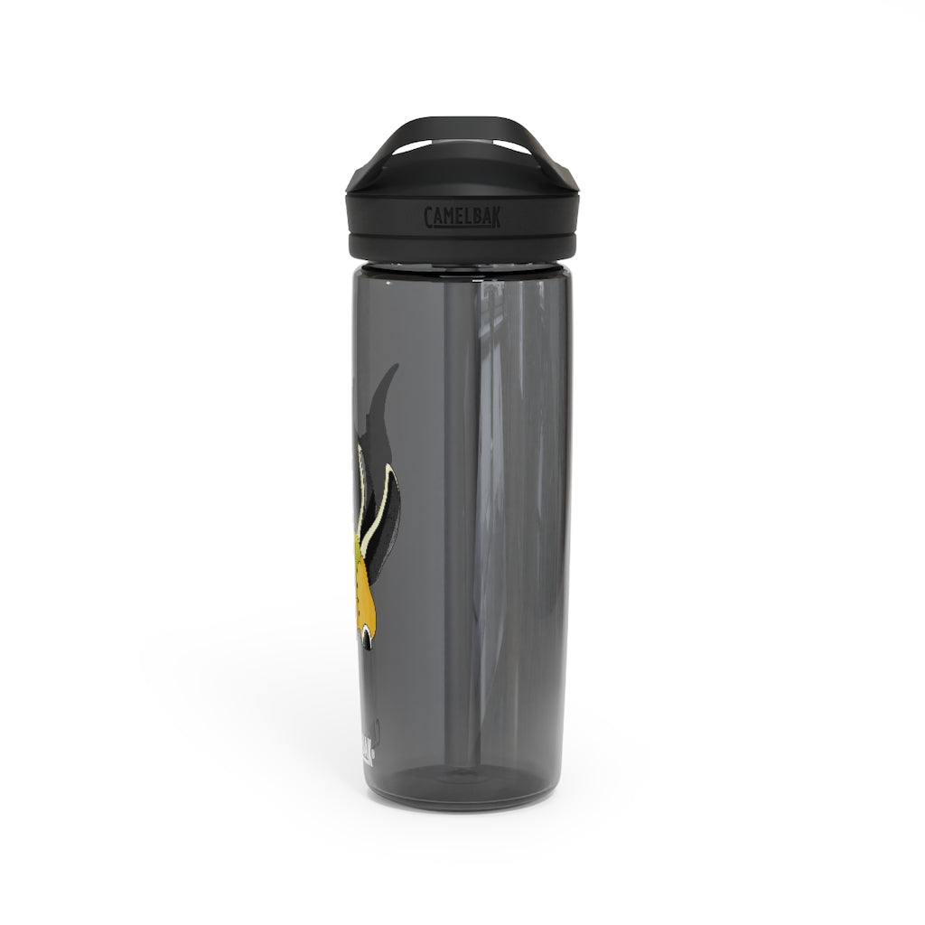 Spore CamelBak Eddy® Water Bottle in 20oz and 25oz sizes, showcasing its durable Tritan™ material and spill-proof biting valve.