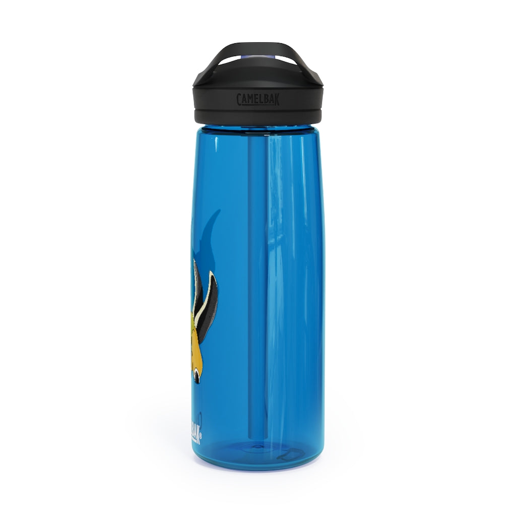 Spore CamelBak Eddy® Water Bottle in 20oz and 25oz sizes, showcasing its durable Tritan™ material and spill-proof biting valve.