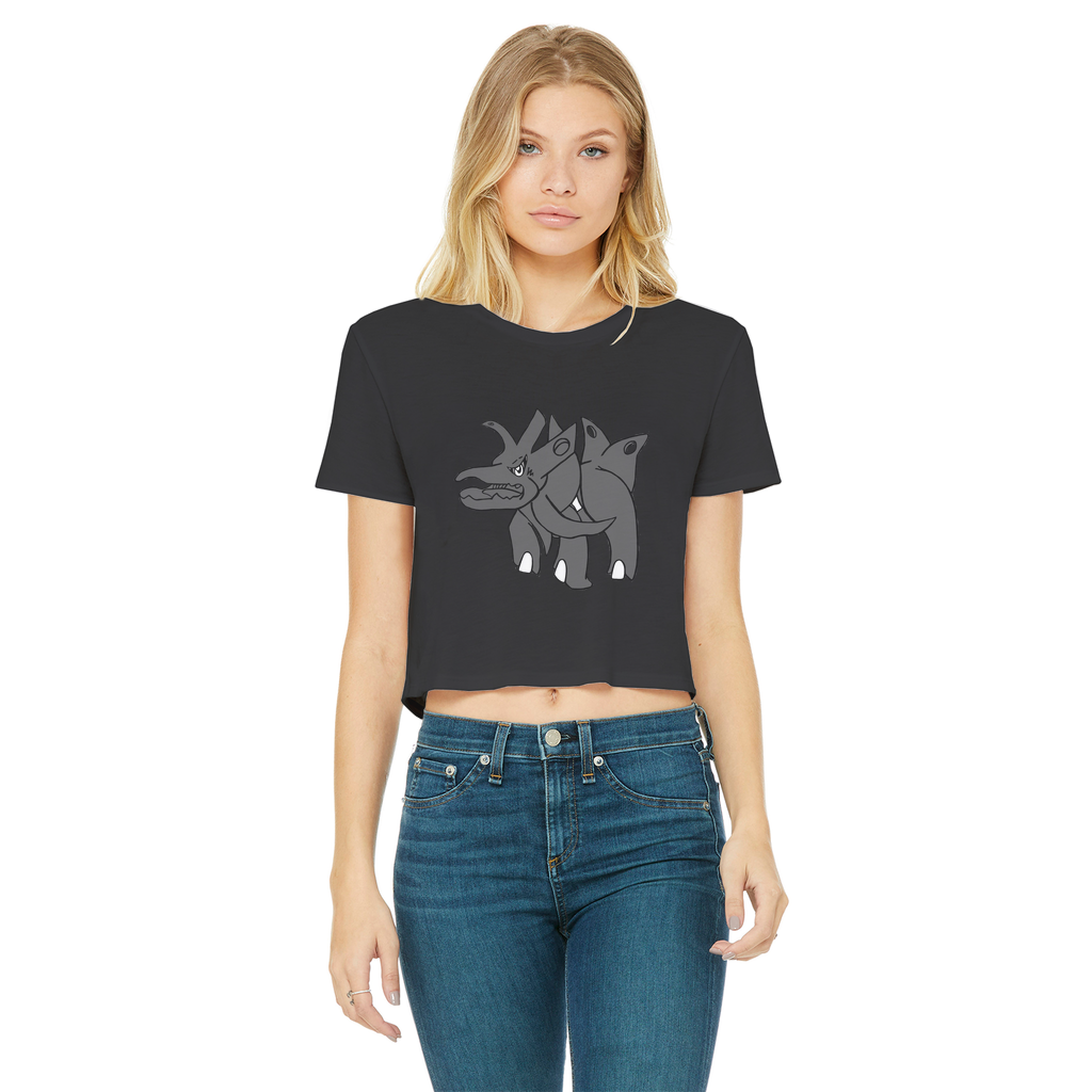 Tanktron Classic Women's Cropped Raw Edge T-Shirt in various colors, showcasing its round neck, short sleeves, and raw edge hem.