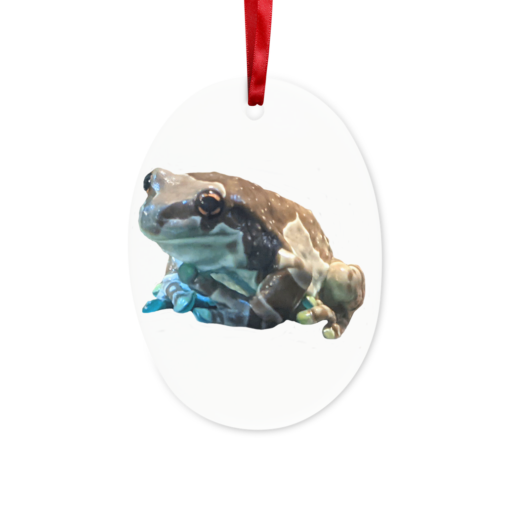 A beautifully crafted Toad Ceramic Hanging Ornament with a red ribbon and gold string, perfect for Christmas decoration.