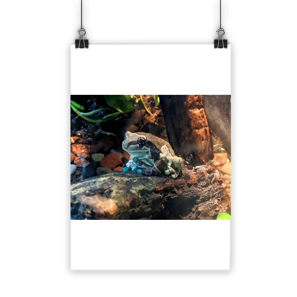 Toad Classic Poster showcasing vibrant colors on semi-gloss paper, ideal for indoor and outdoor use.