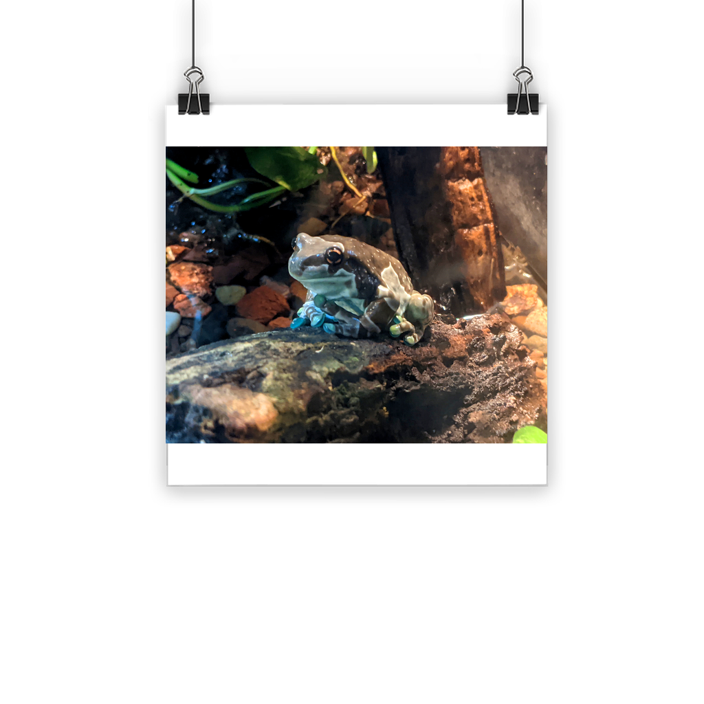 Toad Classic Poster showcasing vibrant colors on semi-gloss paper, ideal for indoor and outdoor use.