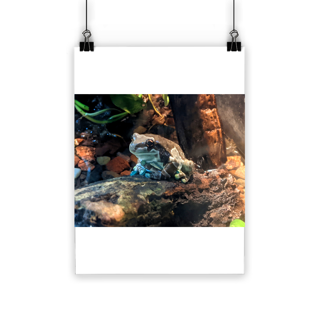 Toad Classic Poster showcasing vibrant colors on semi-gloss paper, ideal for indoor and outdoor use.