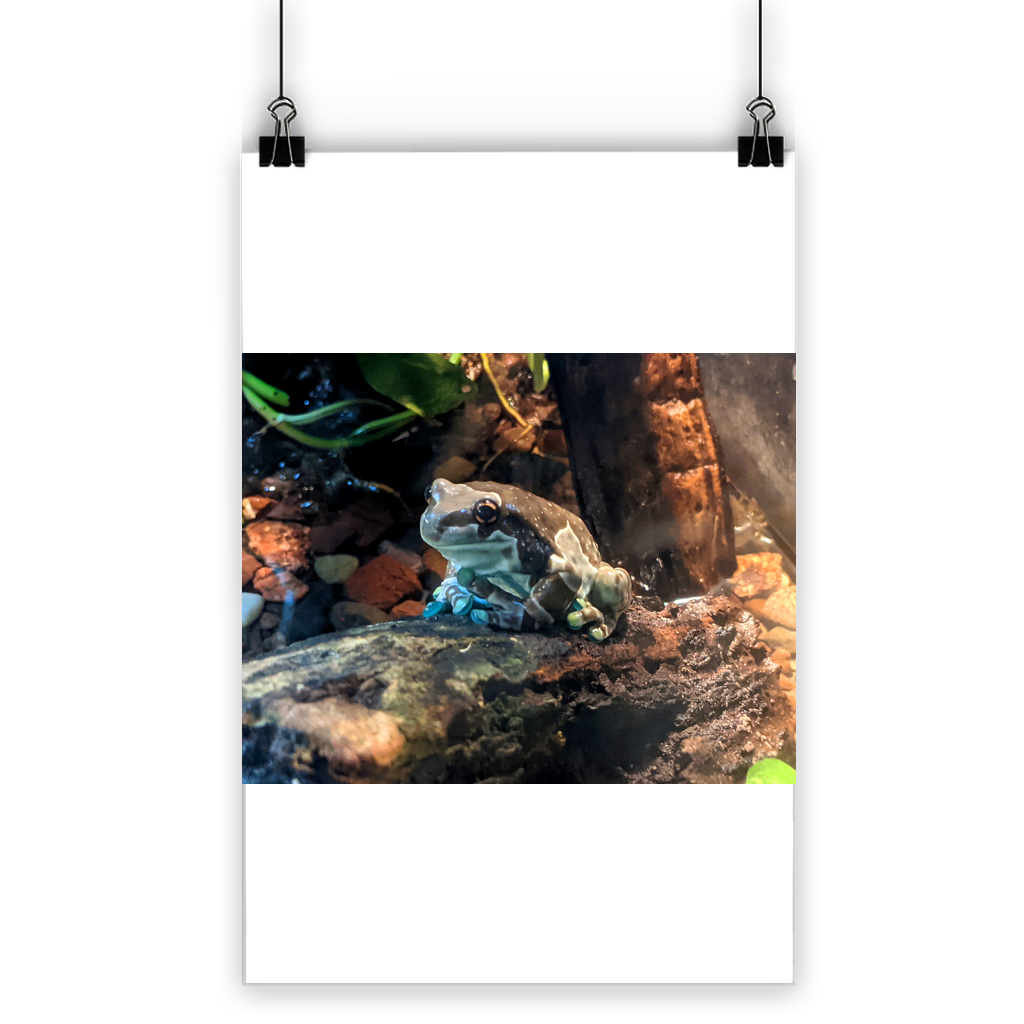 Toad Classic Poster showcasing vibrant colors on semi-gloss paper, ideal for indoor and outdoor use.