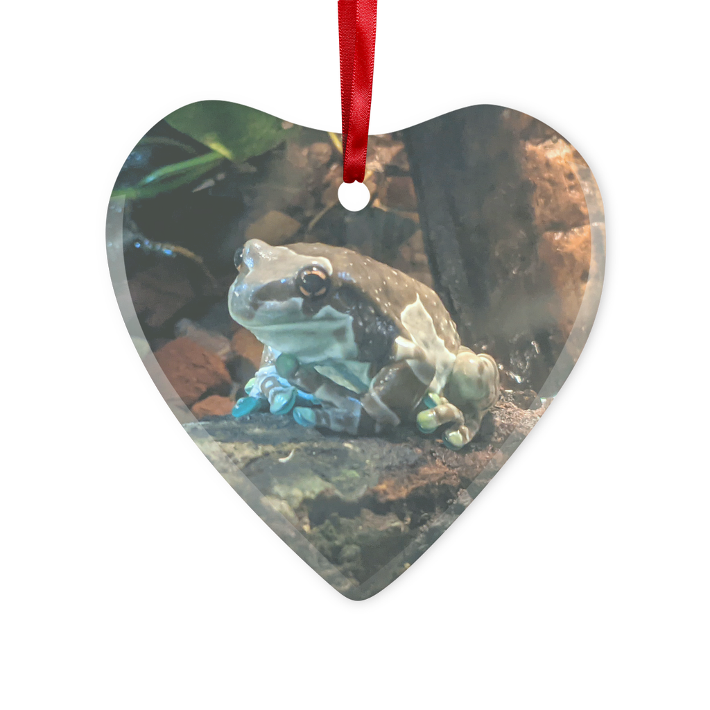 Toad Glass Hanging Ornament in round and heart shapes, beautifully designed for Christmas decoration.