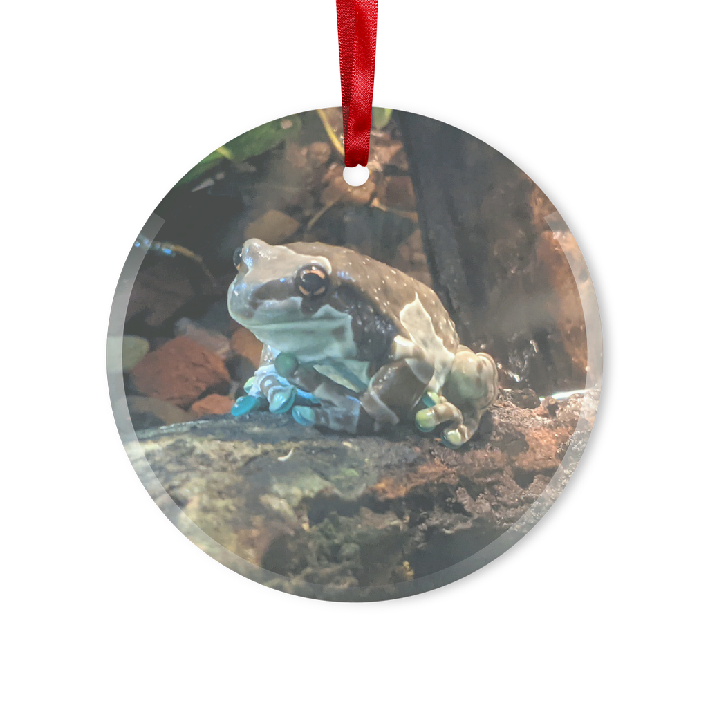 Toad Glass Hanging Ornament in round and heart shapes, beautifully designed for Christmas decoration.