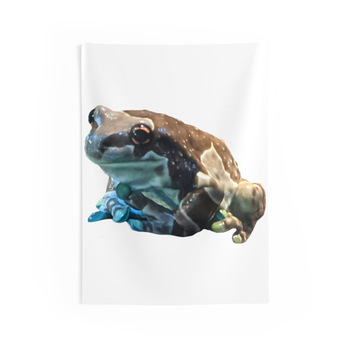 A vibrant Toad Indoor Wall Tapestry showcasing intricate designs, made from durable polyester with hemmed edges.