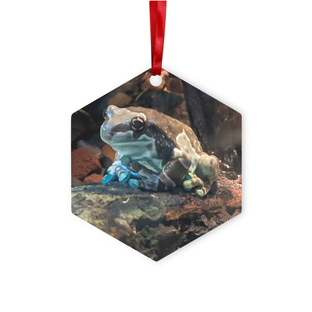 Toad Metal Hanging Ornament in hexagon and star shapes, glossy white aluminum finish, with red ribbon and gold string for hanging.