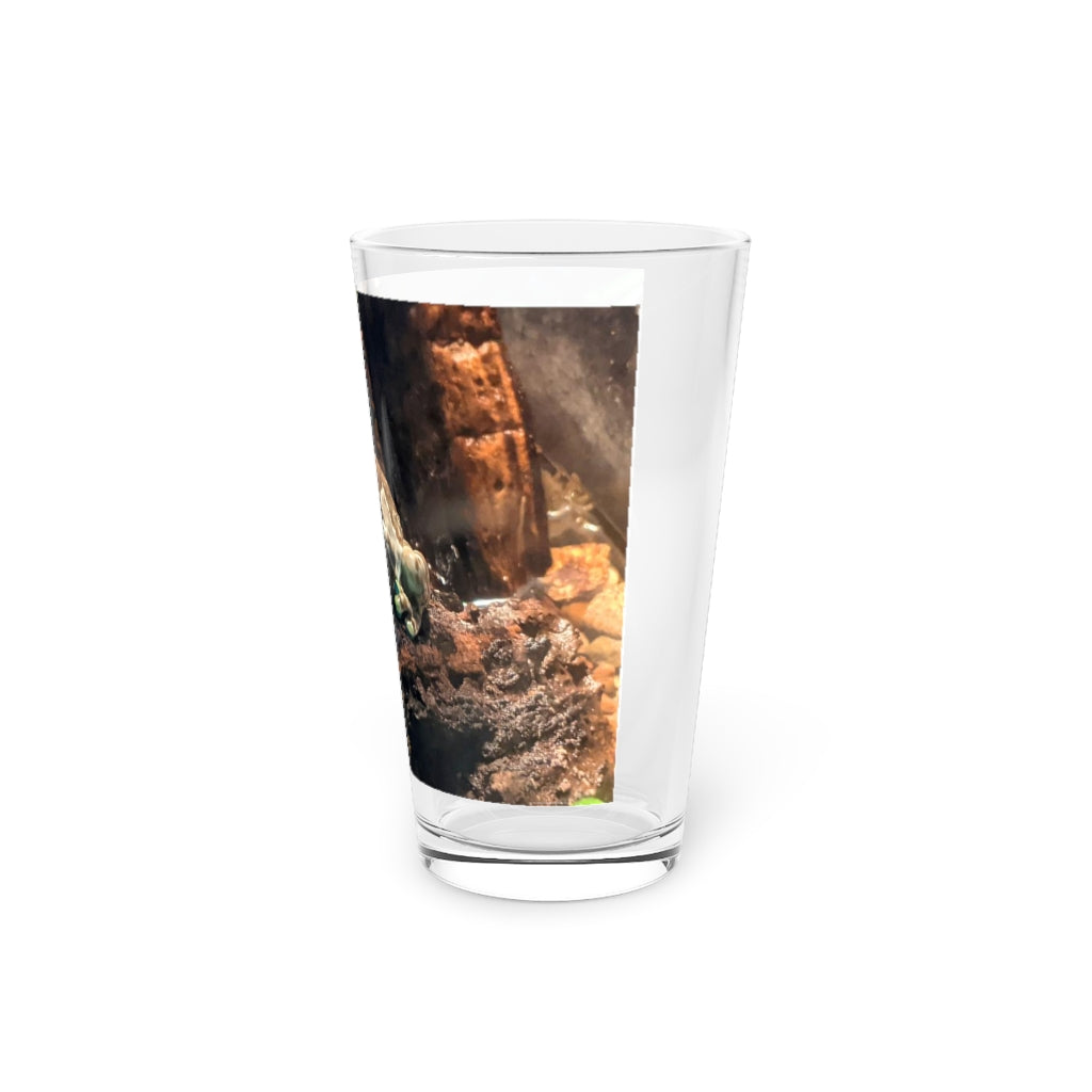 A clear 16oz Toad Pint Glass showcasing its elegant design, perfect for personalized drinks.