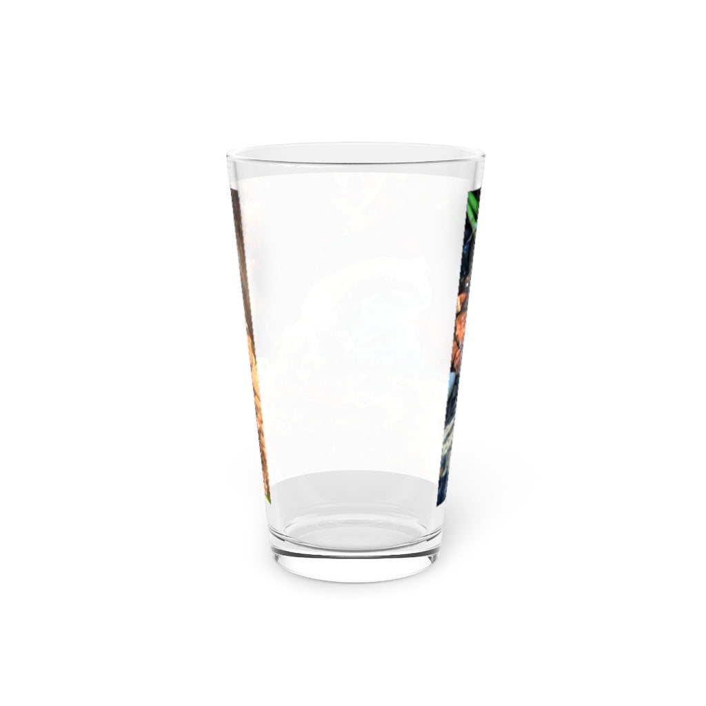 A clear 16oz Toad Pint Glass showcasing its elegant design, perfect for personalized drinks.