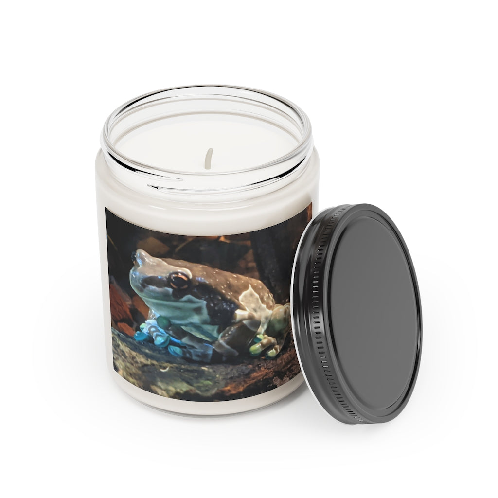 Toad Scented Candle in a glass container, featuring a warm Cinnamon Stick and Vanilla scent, hand-poured with vegan soy coconut wax.