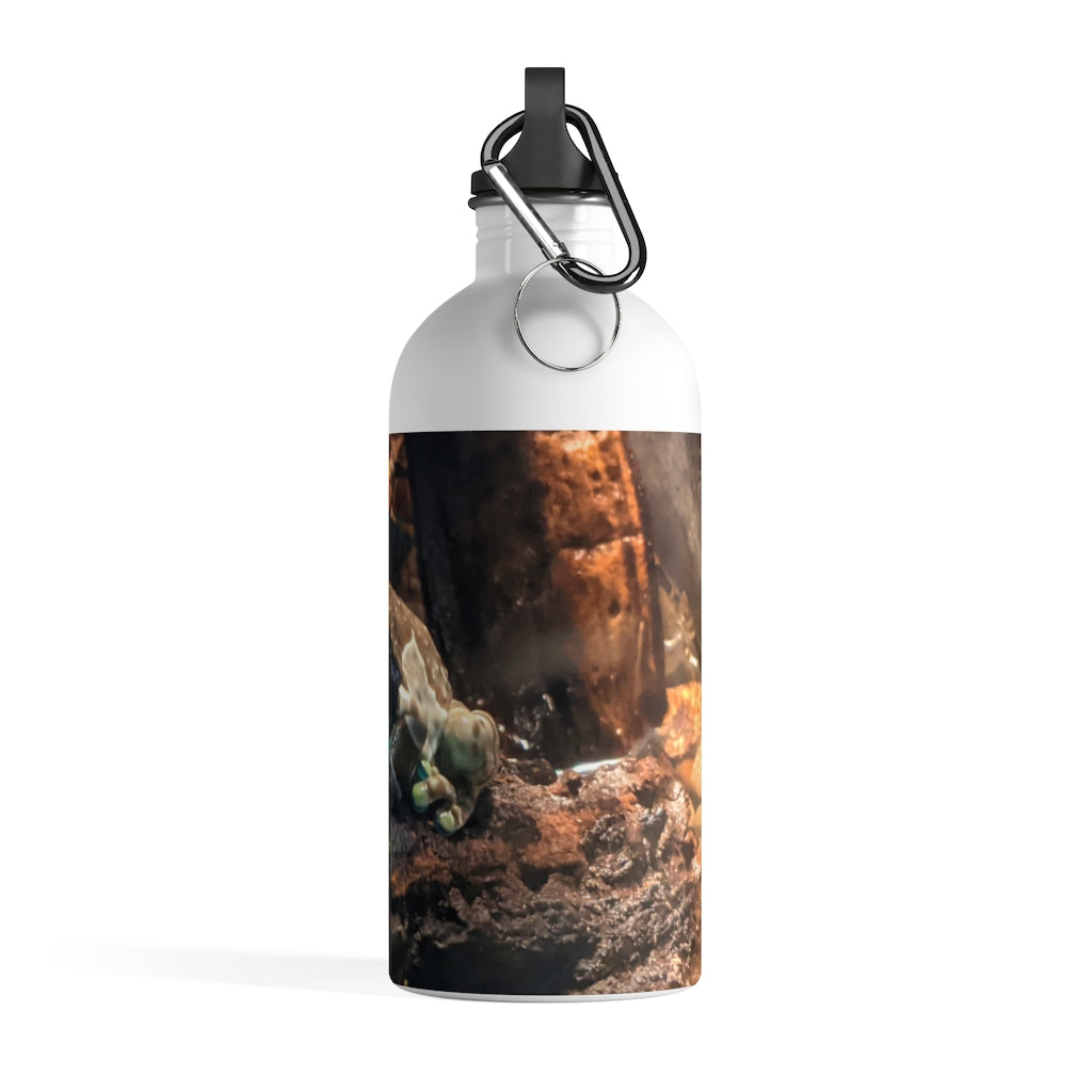 Toad Stainless Steel Water Bottle with a plastic screw top and carabiner, showcasing its stylish design and lightweight construction.