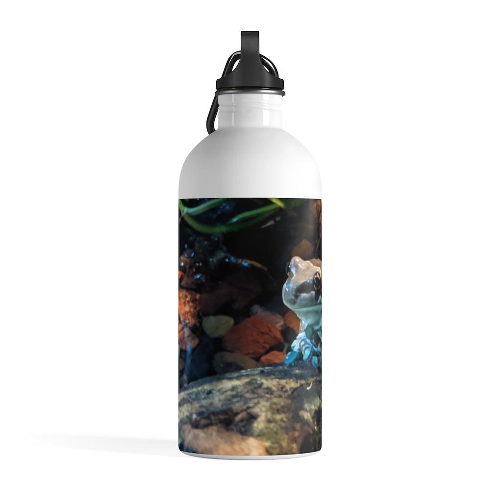 Toad Stainless Steel Water Bottle with a plastic screw top and carabiner, showcasing its stylish design and lightweight construction.