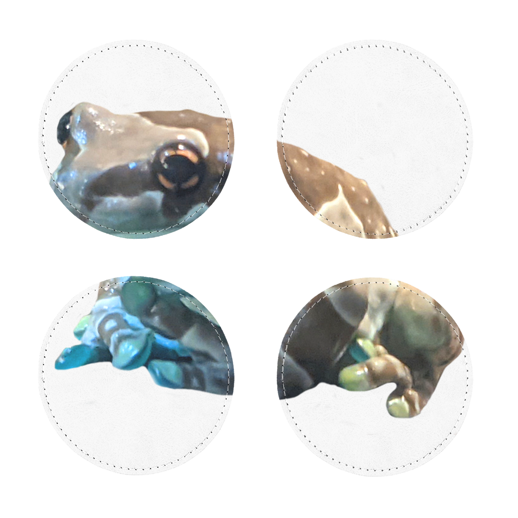 Pack of four Toad Sublimation Coasters made from PU leather, featuring a white printable face and white stitching, available in square and round shapes.