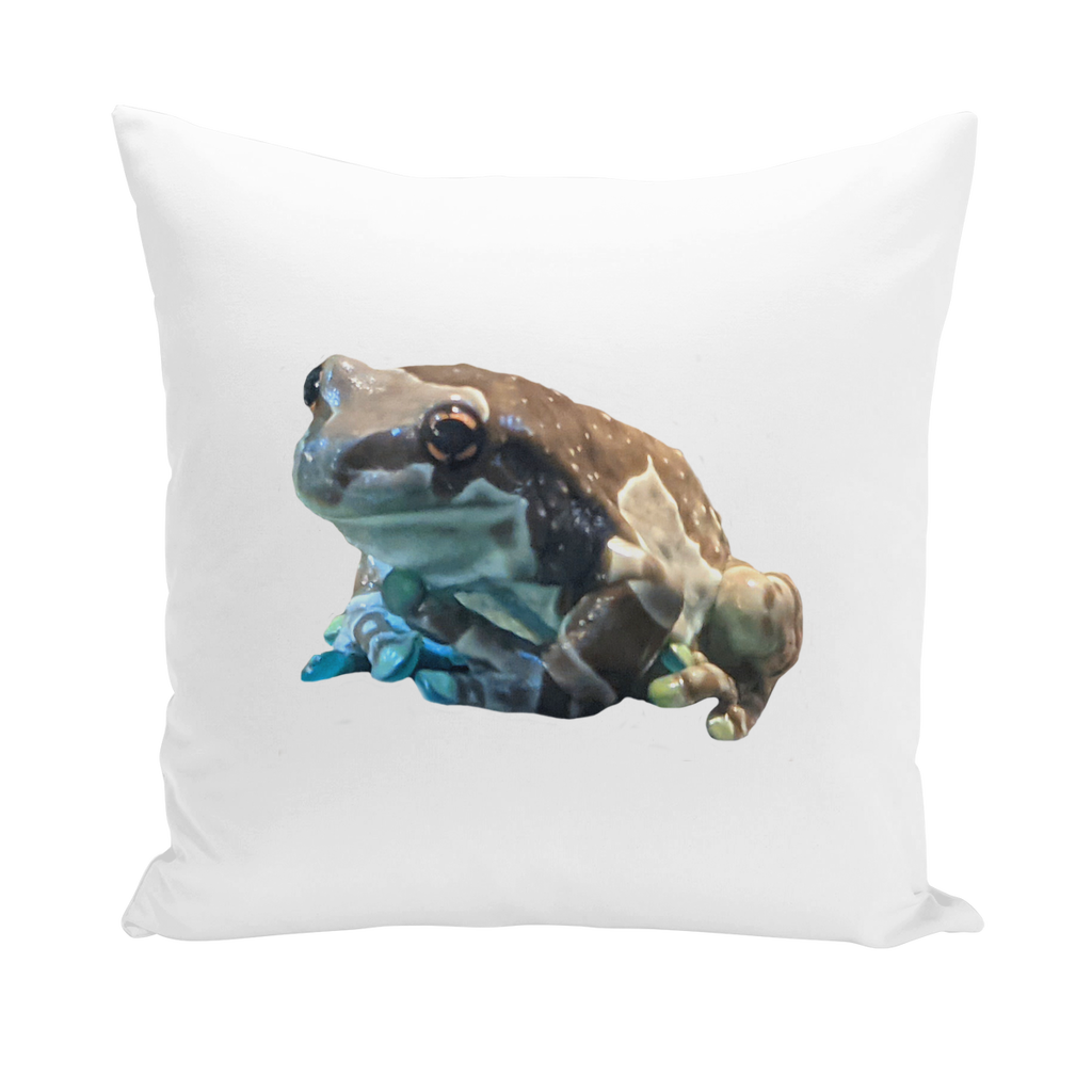 Toad Throw Pillows in various styles including linen, canvas, and suede, showcasing their vibrant colors and textures.