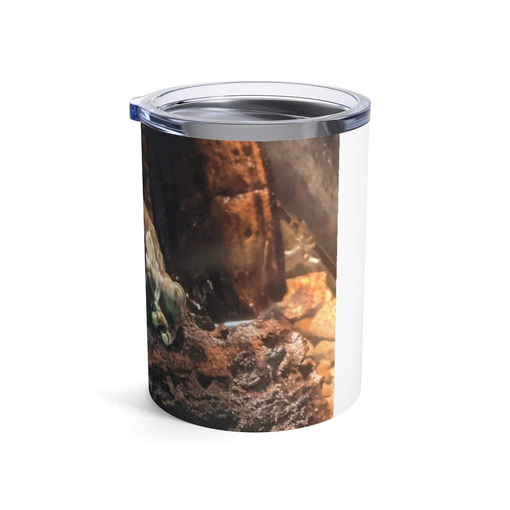 Toad Tumbler 10oz in stainless steel with a see-thru plastic lid, showcasing its sleek design and rounded corners.