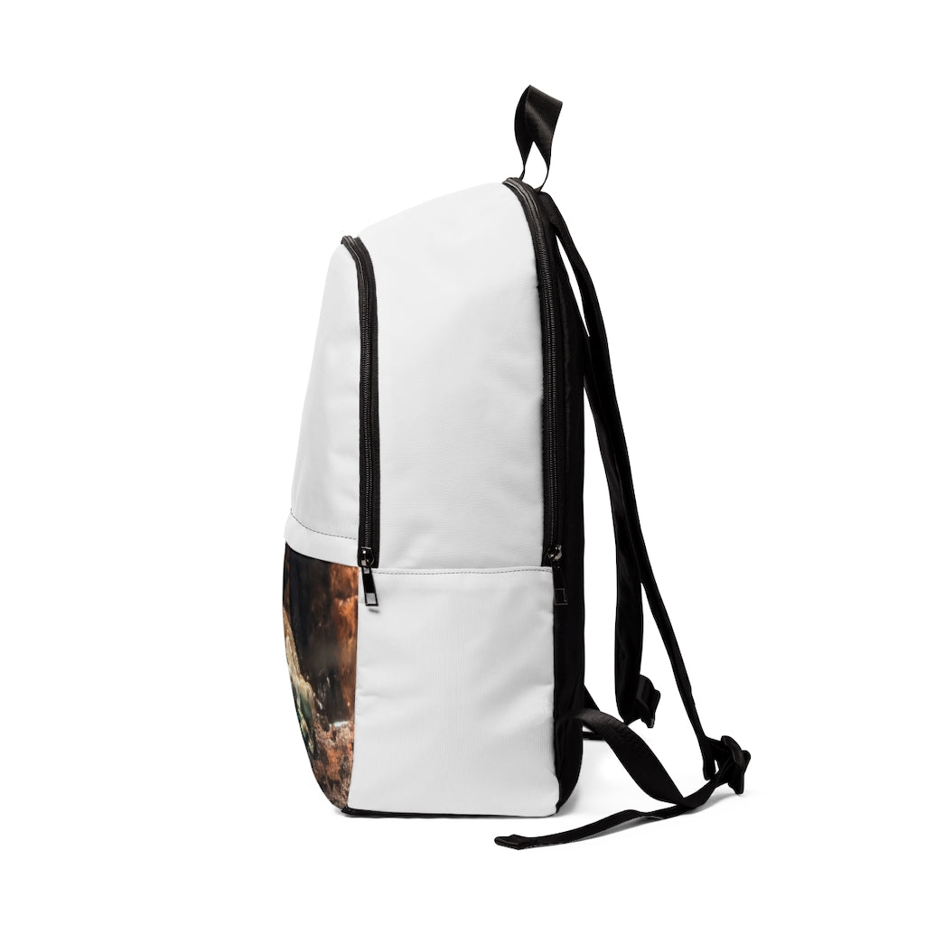 Toad Unisex Fabric Backpack in soft nylon, showcasing adjustable straps and padded back panel, ideal for school and travel.