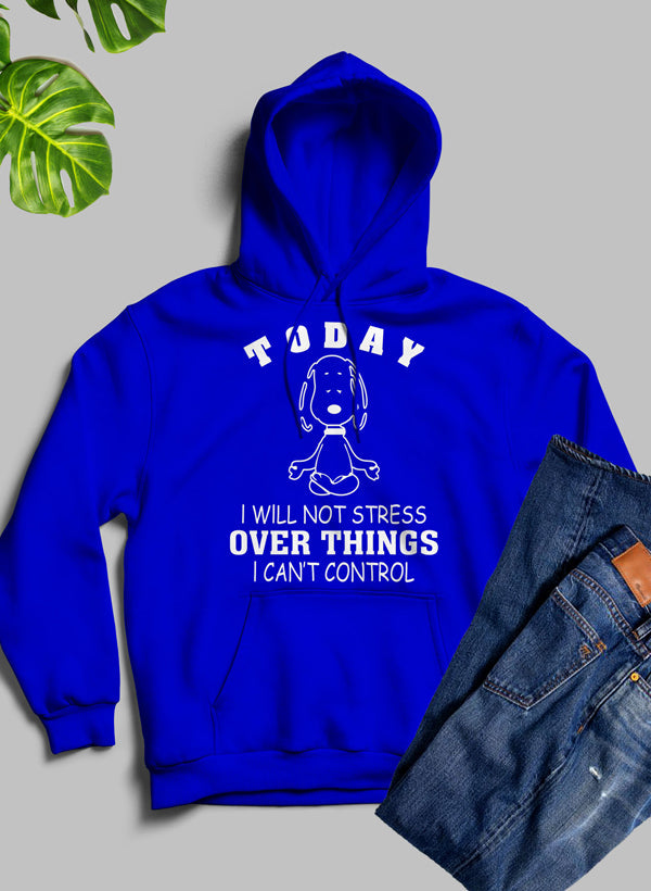 A cozy hoodie featuring the phrase 'Today I Will Not Stress Over Things I Can't Control', made from a warm fleece blend with an adjustable hood.