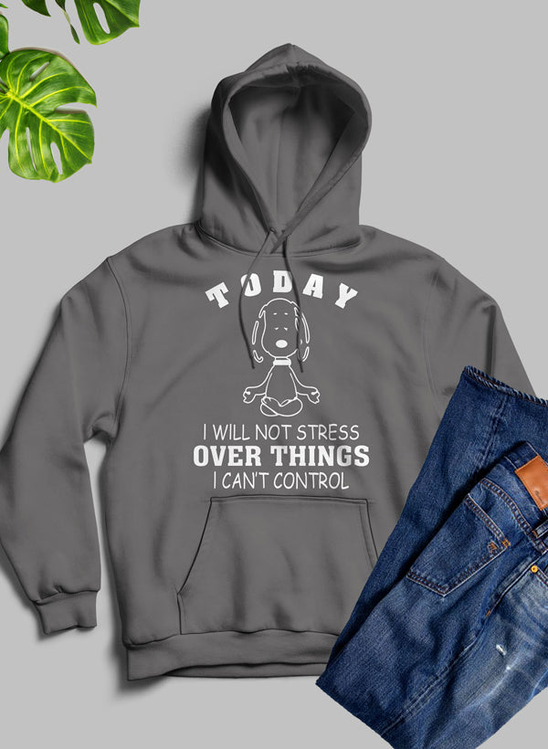 A cozy hoodie featuring the phrase 'Today I Will Not Stress Over Things I Can't Control', made from a warm fleece blend with an adjustable hood.