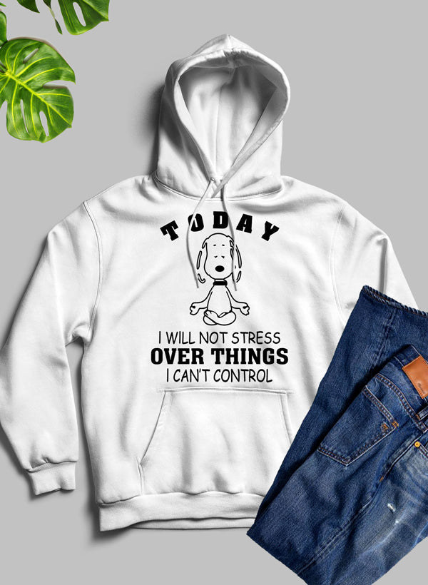 A cozy hoodie featuring the phrase 'Today I Will Not Stress Over Things I Can't Control', made from a warm fleece blend with an adjustable hood.