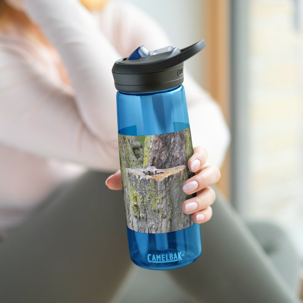 Tree Stump CamelBak Eddy® Water Bottle in 20oz and 25oz sizes, showcasing its durable design and personalized style.