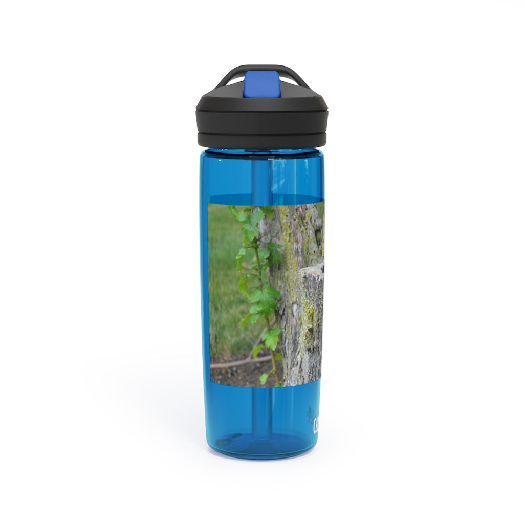 Tree Stump CamelBak Eddy® Water Bottle in 20oz and 25oz sizes, showcasing its durable design and personalized style.