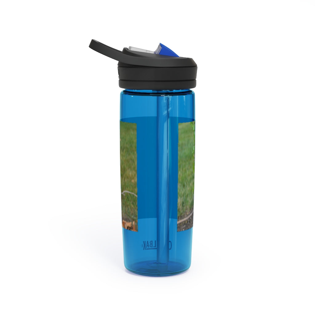 Tree Stump CamelBak Eddy® Water Bottle in 20oz and 25oz sizes, showcasing its durable design and personalized style.