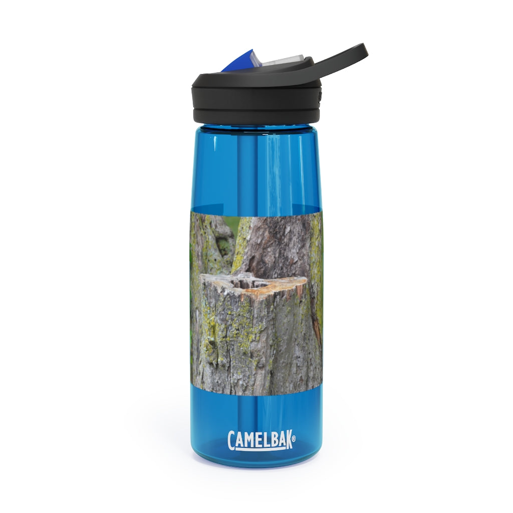 Tree Stump CamelBak Eddy® Water Bottle in 20oz and 25oz sizes, showcasing its durable design and personalized style.