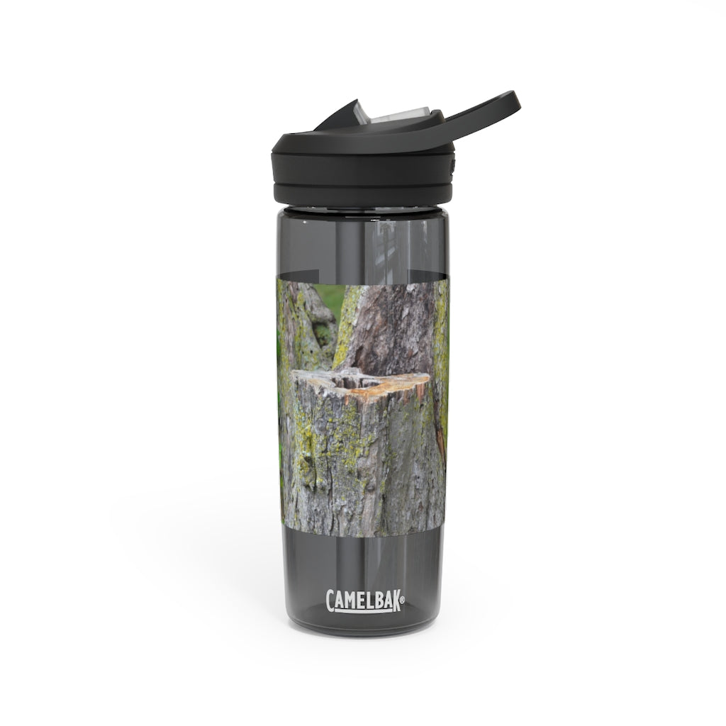 Tree Stump CamelBak Eddy® Water Bottle in 20oz and 25oz sizes, showcasing its durable design and personalized style.