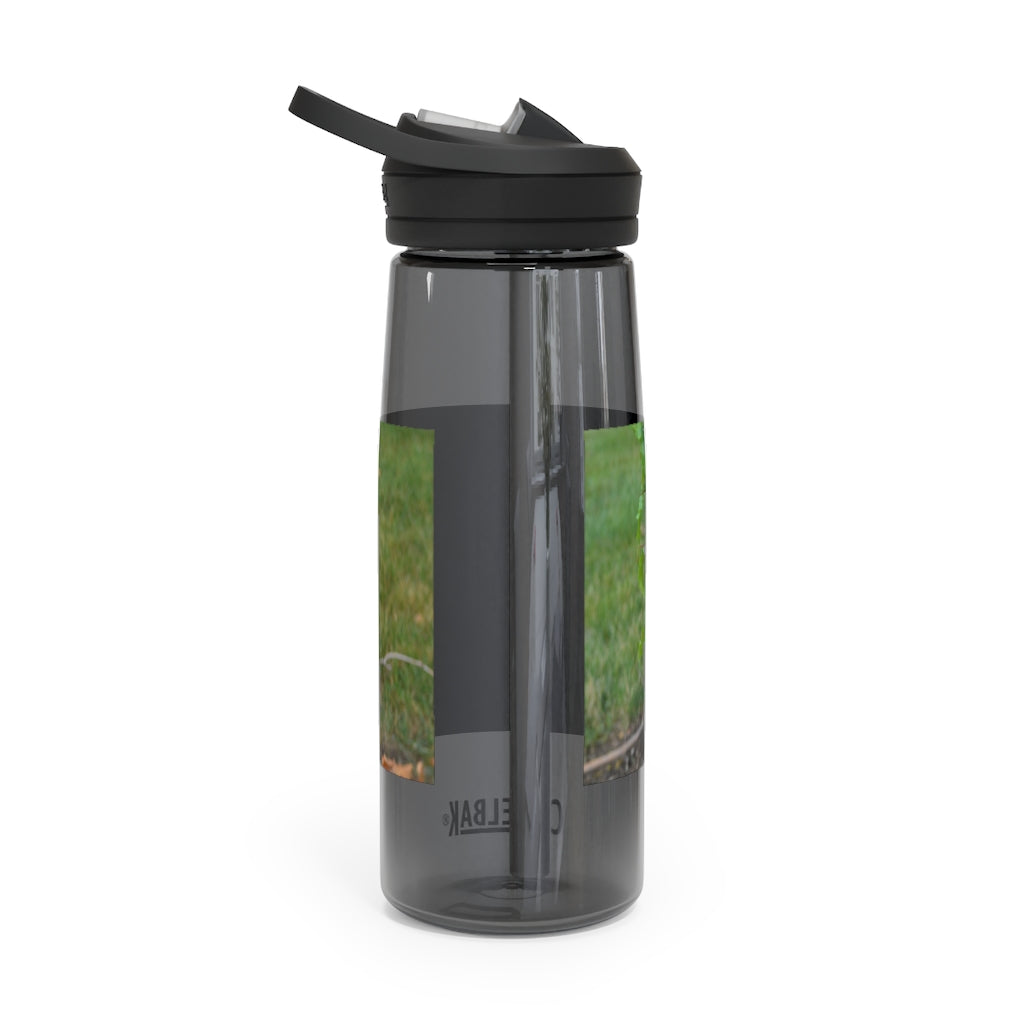 Tree Stump CamelBak Eddy® Water Bottle in 20oz and 25oz sizes, showcasing its durable design and personalized style.