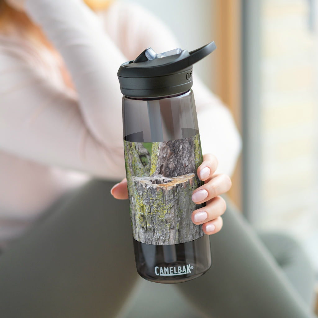 Tree Stump CamelBak Eddy® Water Bottle in 20oz and 25oz sizes, showcasing its durable design and personalized style.