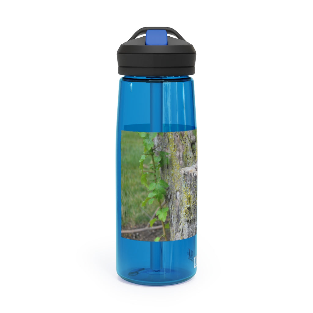 Tree Stump CamelBak Eddy® Water Bottle in 20oz and 25oz sizes, showcasing its durable design and personalized style.