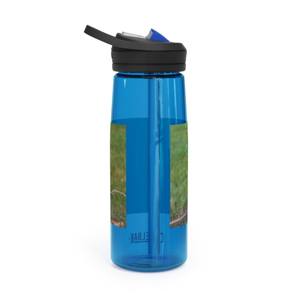 Tree Stump CamelBak Eddy® Water Bottle in 20oz and 25oz sizes, showcasing its durable design and personalized style.