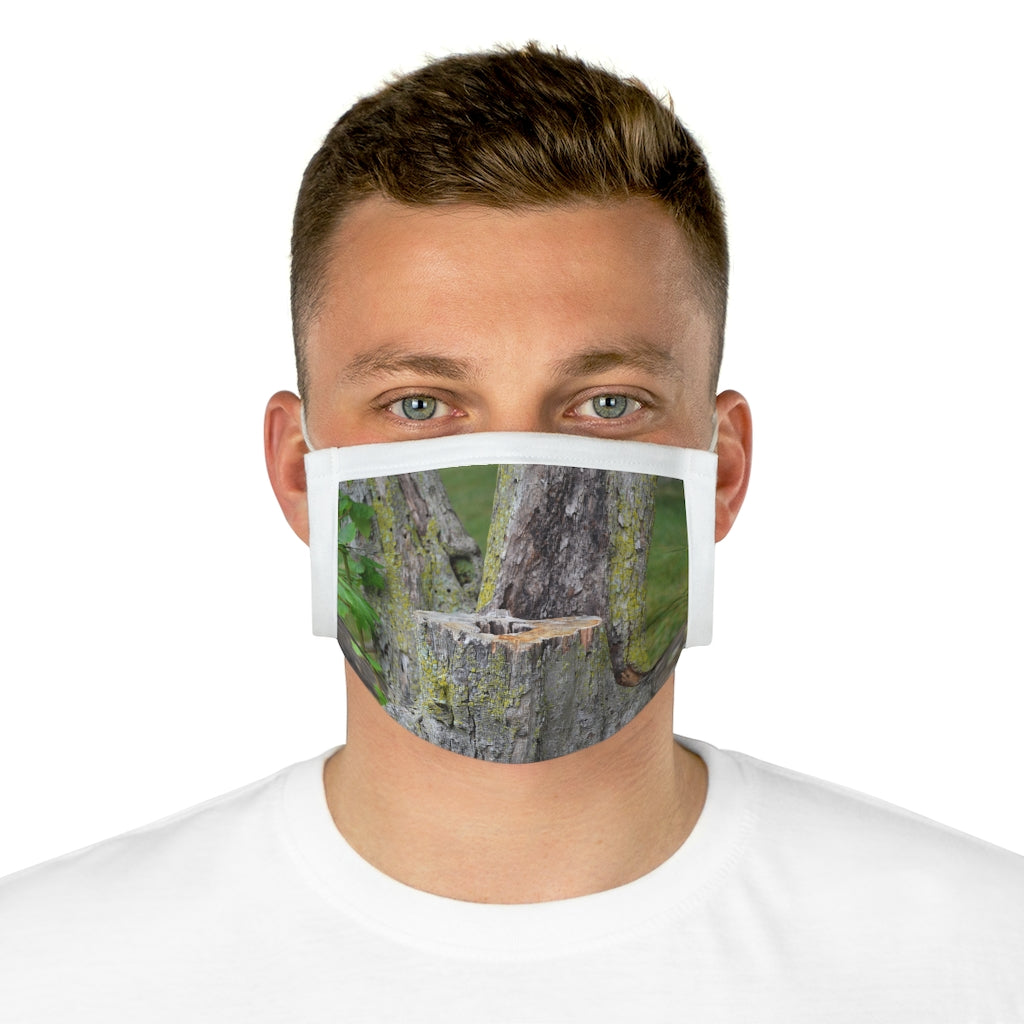 Tree Stump Cotton Face Mask featuring a unique tree stump design, made from 100% cotton with adjustable earloops and nose wire.