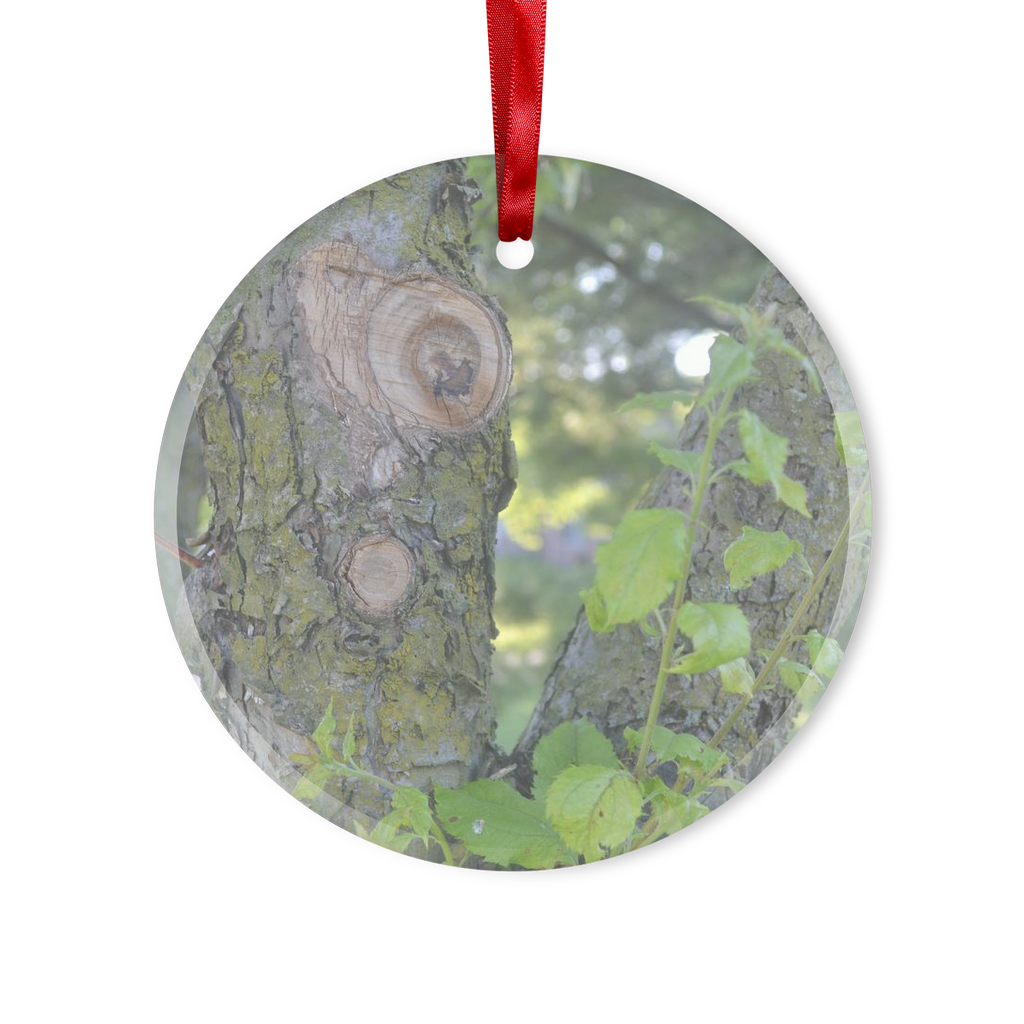 Tree Stump Glass Hanging Ornament with red ribbon and gold string, available in round and heart shapes, elegantly packaged in a white box.