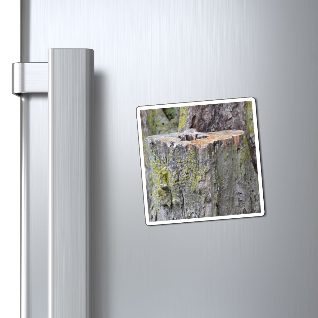 Tree Stump Magnets displayed on a metallic surface, showcasing their strong hold and customizable designs.