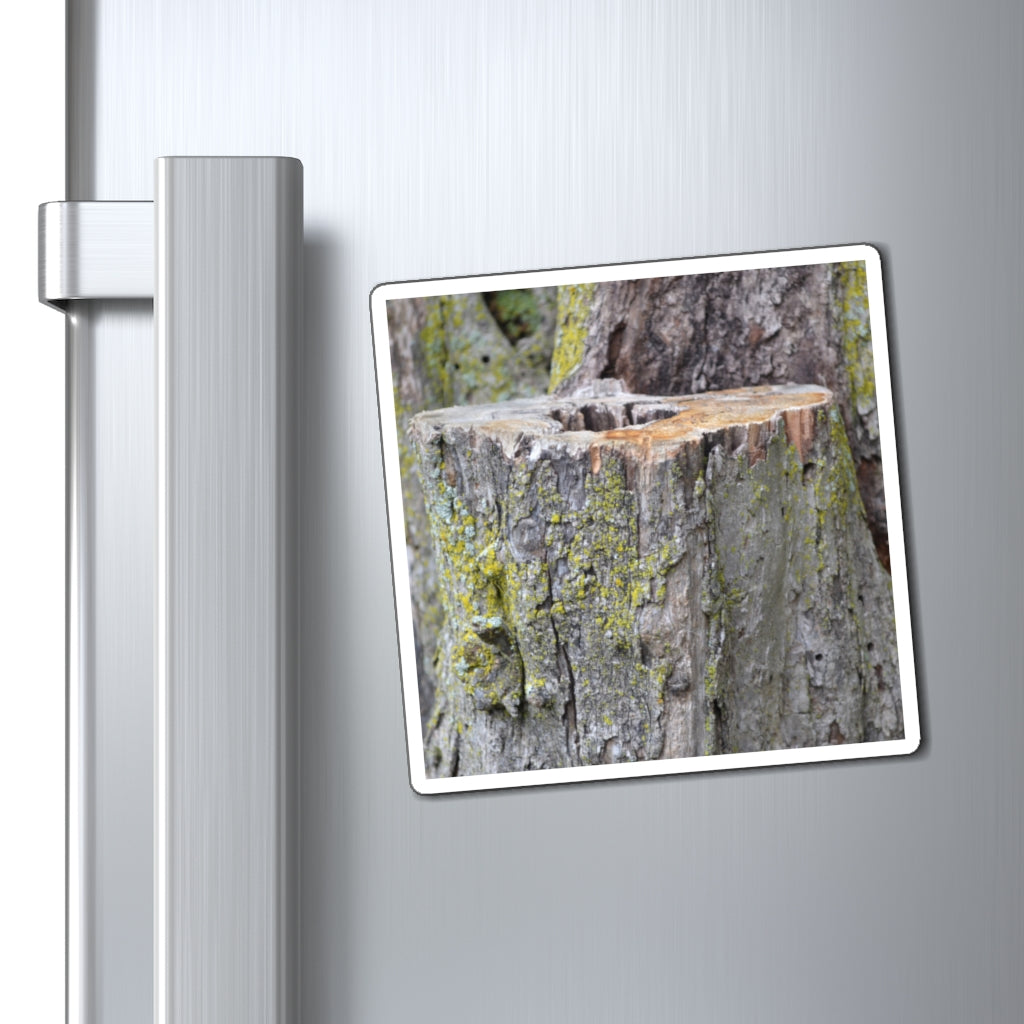 Tree Stump Magnets displayed on a metallic surface, showcasing their strong hold and customizable designs.