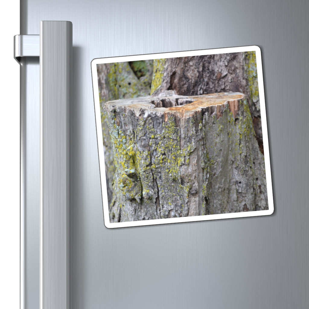 Tree Stump Magnets displayed on a metallic surface, showcasing their strong hold and customizable designs.