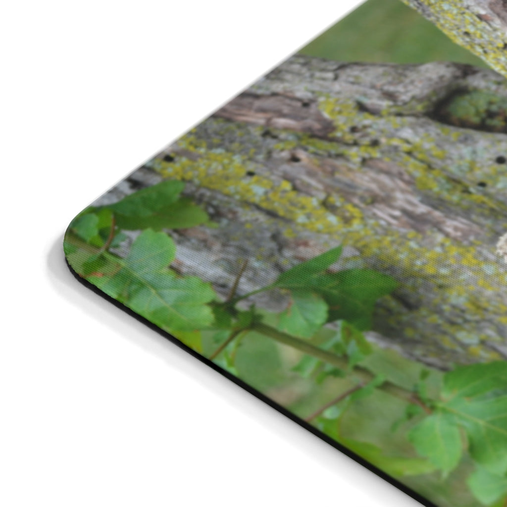 Tree Stump Mouse Pad featuring a unique tree stump design with a smooth Neoprene surface, ideal for home or office use.