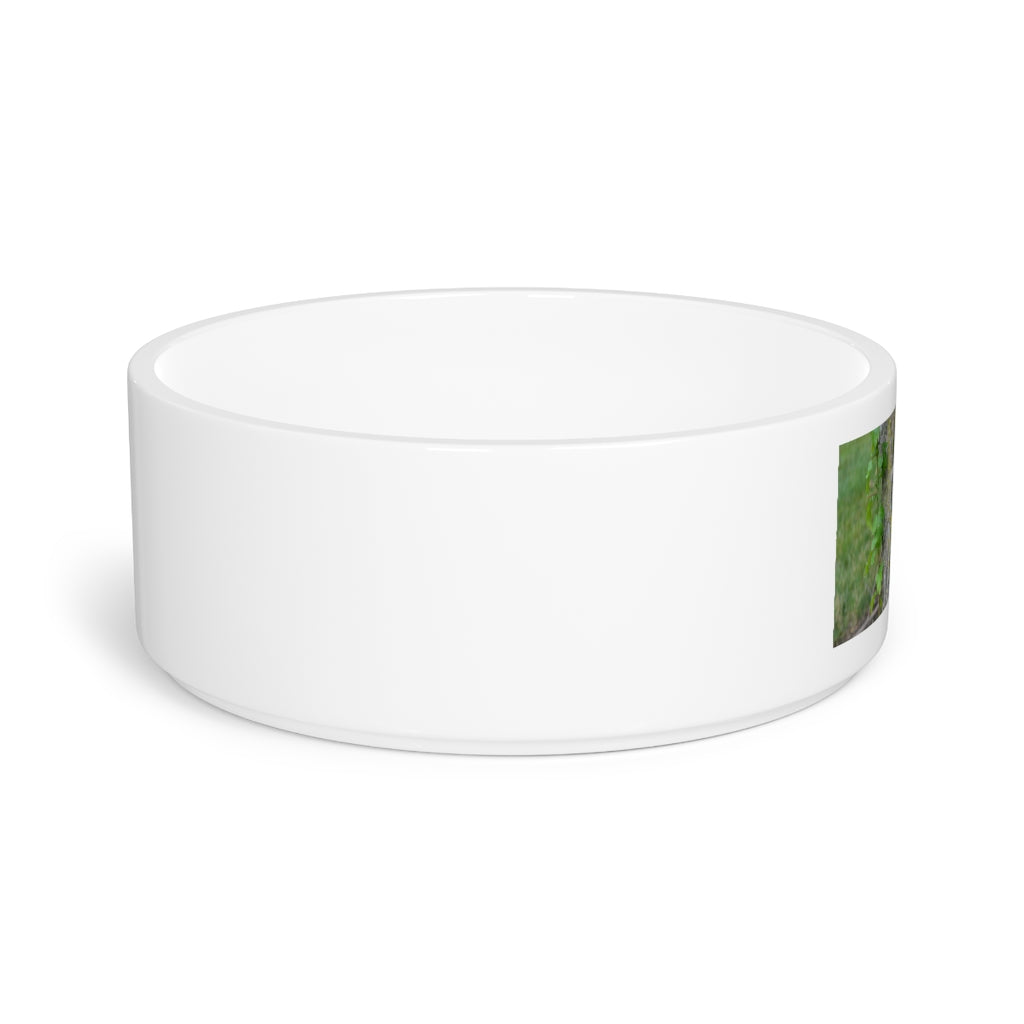 A stylish Tree Stump Pet Bowl made of white ceramic, featuring a customizable design that wraps around half of the bowl, perfect for small to medium pets.